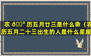 农 🐳 历五月廿三是什么命（农历五月二十三出生的人是什么星座）